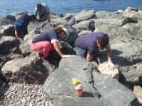 Escolares y buzos han recogido 700 kilos de basura de la costa y los fondos de Playa de Mogán