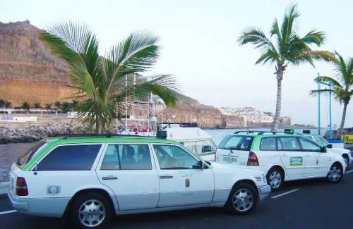 El servicio del taxi se limita al 20% en Mogán por el COVID-19