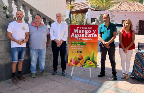 Mogán se prepara para celebrar la V Feria del Mango y del Aguacate de Verano