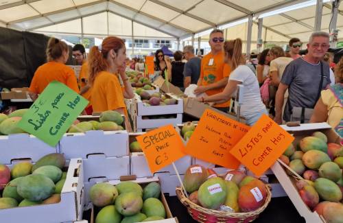 La V Feria del Mango y Aguacate de Verano de Mogán supera todas las expectativas