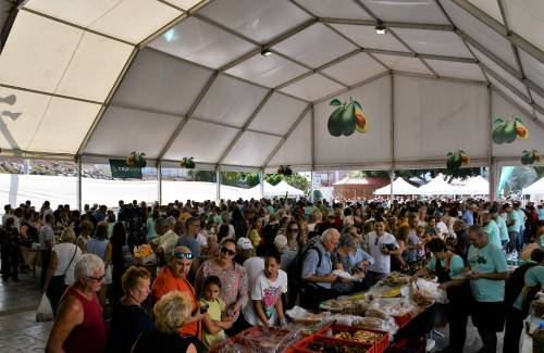La IV Feria del Aguacate de Mogán recibe a 10.000 personas