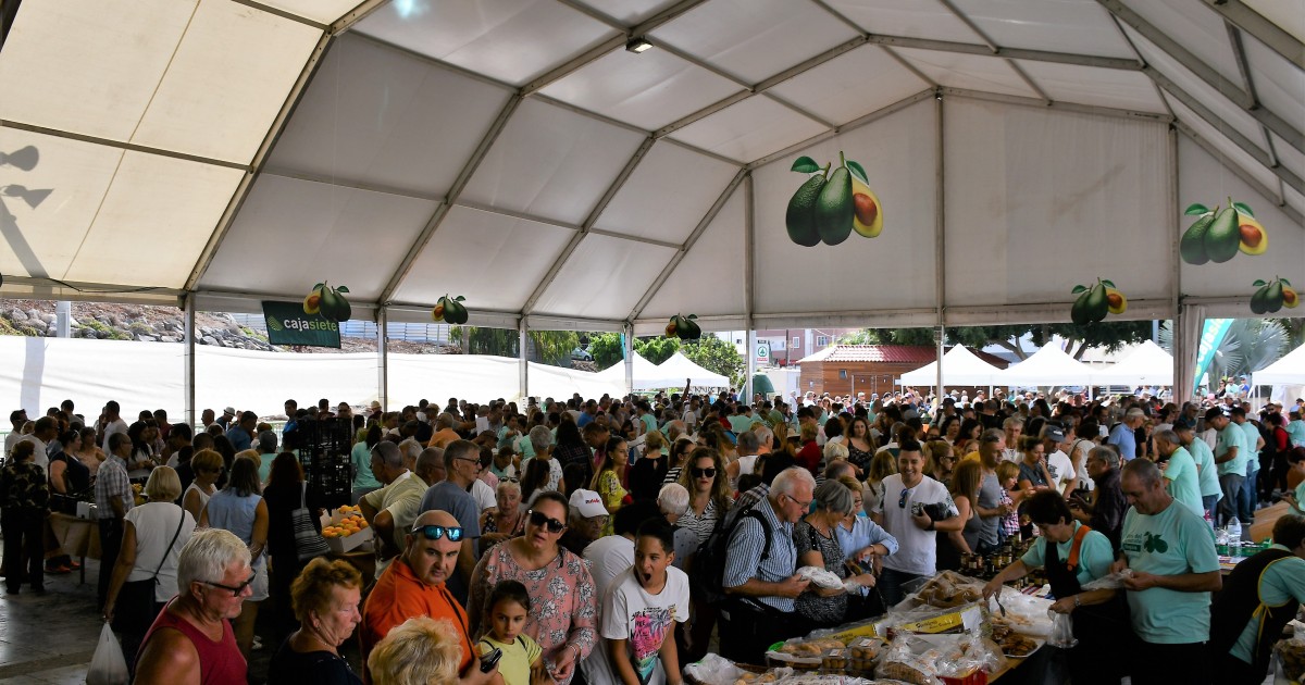 La IV Feria del Aguacate de Mogán recibe a 10.000 personas