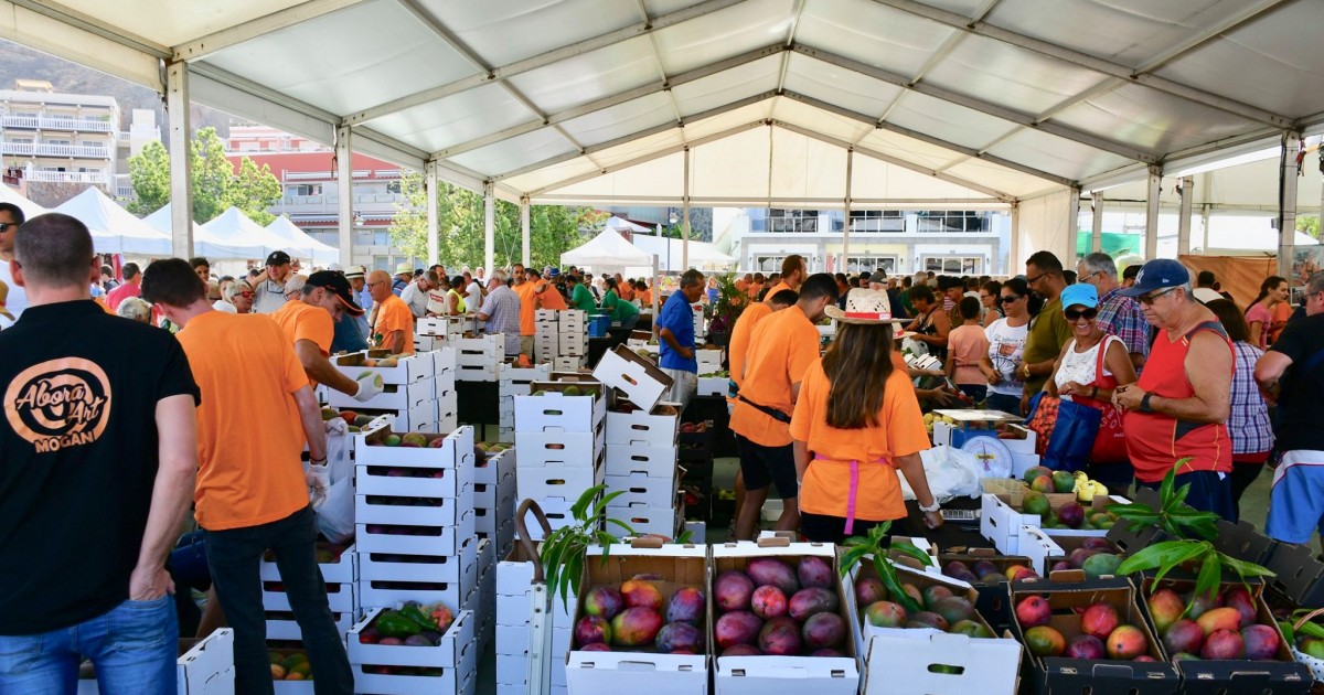 Mogán abre el plazo de inscripción para participar en la V Feria del Mango y Aguacate de Verano