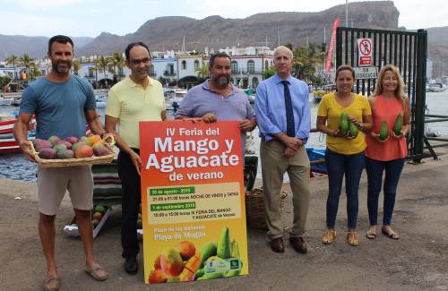 La IV Feria del Mango y el Aguacate de Verano de Mogán ofrecerá más de 8.000 kilos de productos del municipio