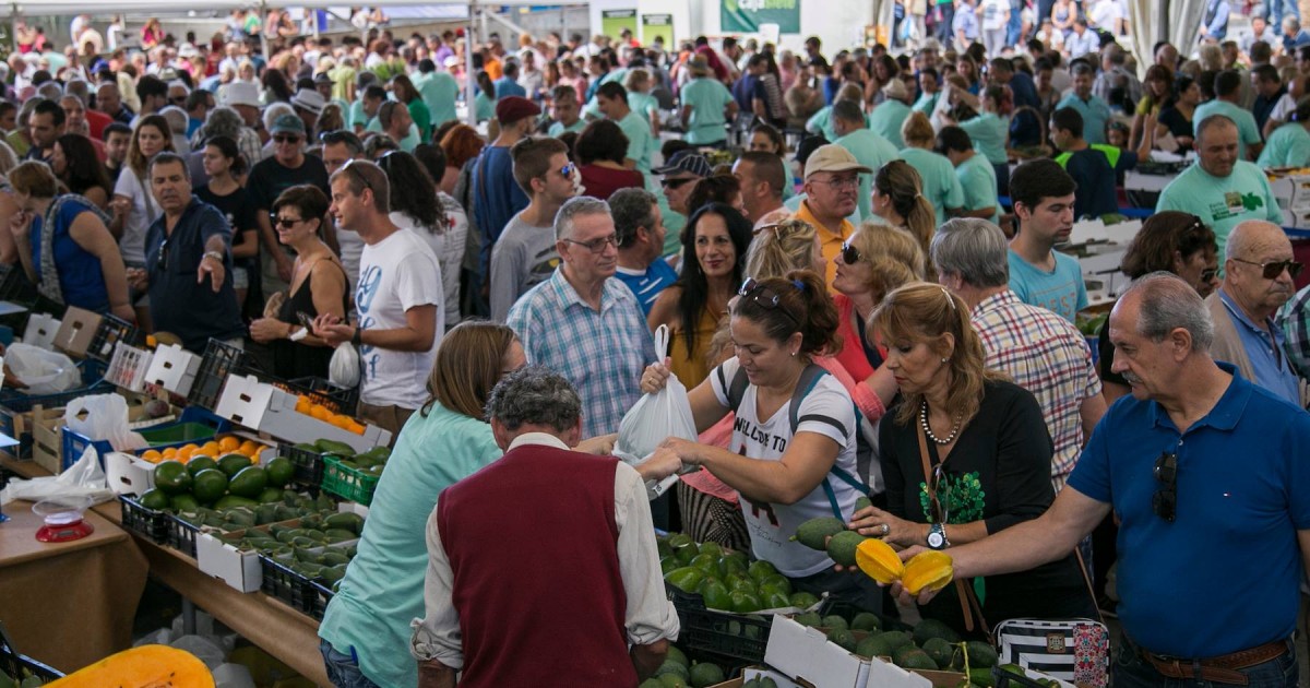 Mogán convoca a los interesados en participar en la 3ª Feria del Aguacate