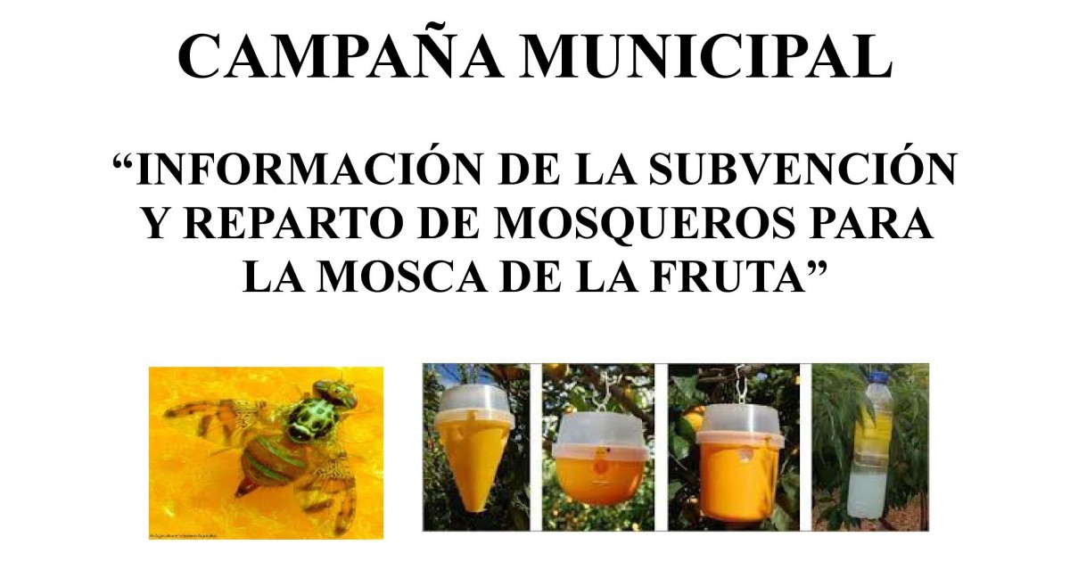 El Ayuntamiento de Mogán subvenciona mosqueros para la mosca de la fruta a agricultores