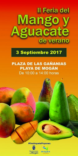 III Feria del Mango y Aguacate de Verano