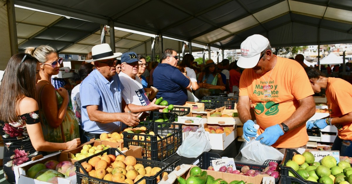 Éxito de venta y asistencia de la IV Feria del Mango y Aguacate de Mogán