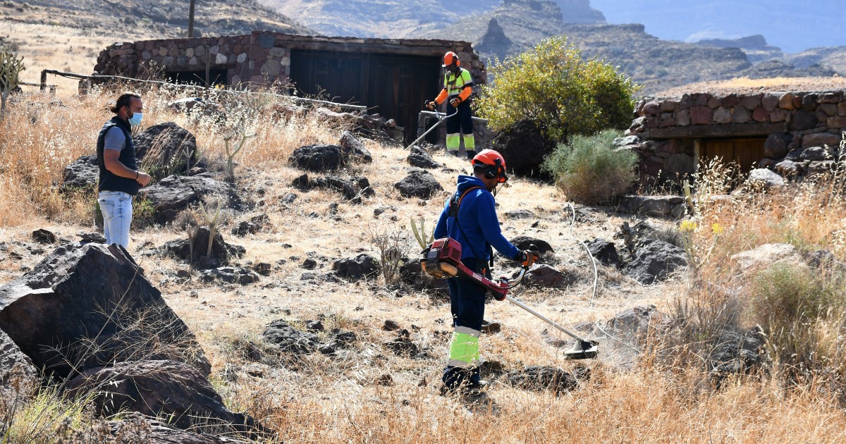 Mogán desbroza 4,3 hectáreas en barrancos y márgenes rurales para prevenir incendios